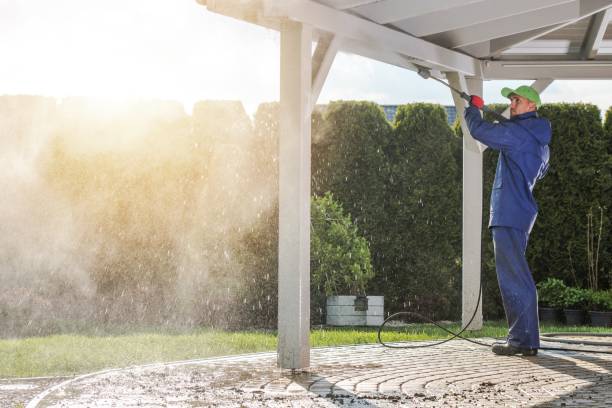Best Roof Washing  in Riverdale, CA
